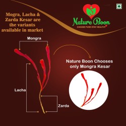Nature Boon™ Kashmiri Mongra Saffron High Premium Quality Fresh Cut AAA+++ (1g)